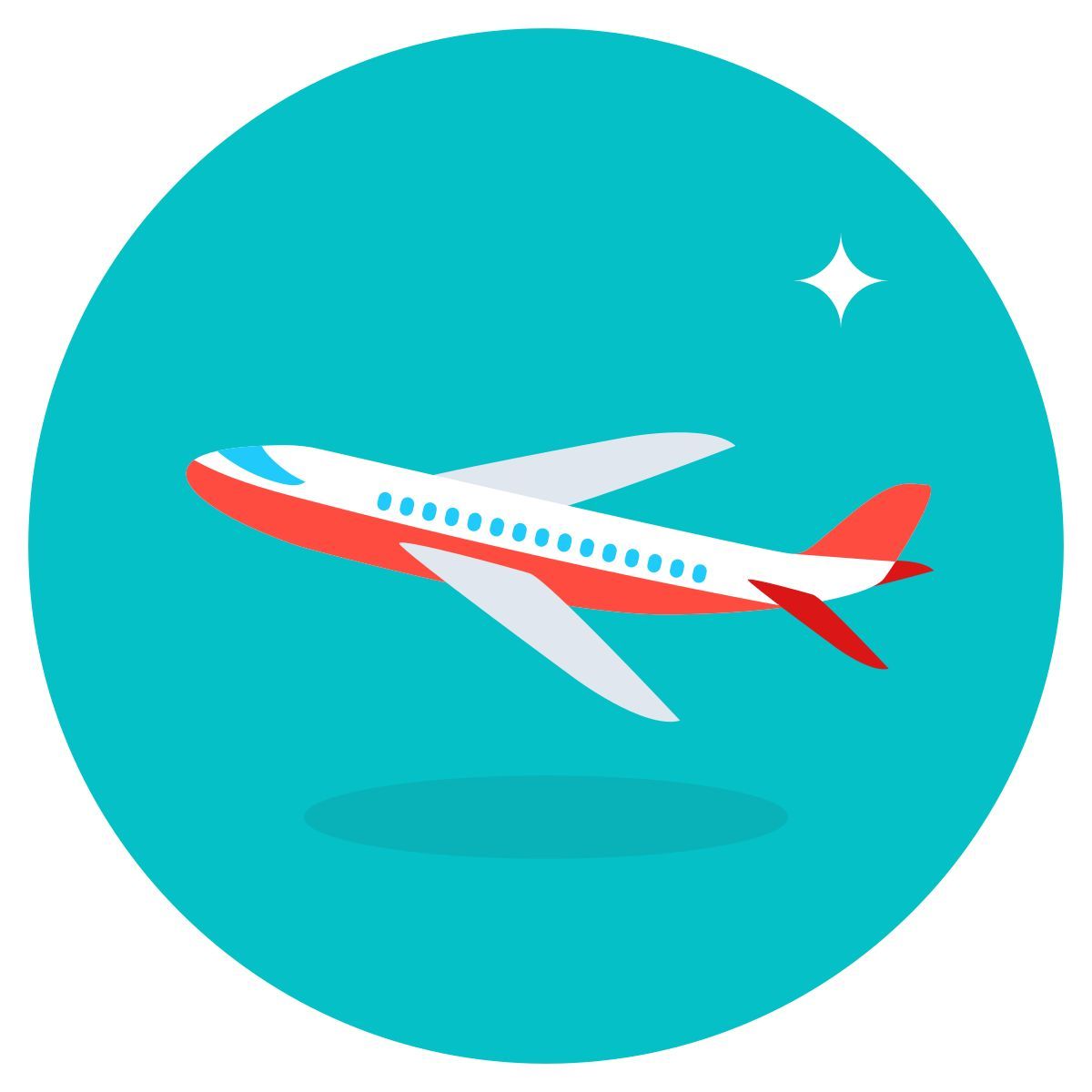 plane icon