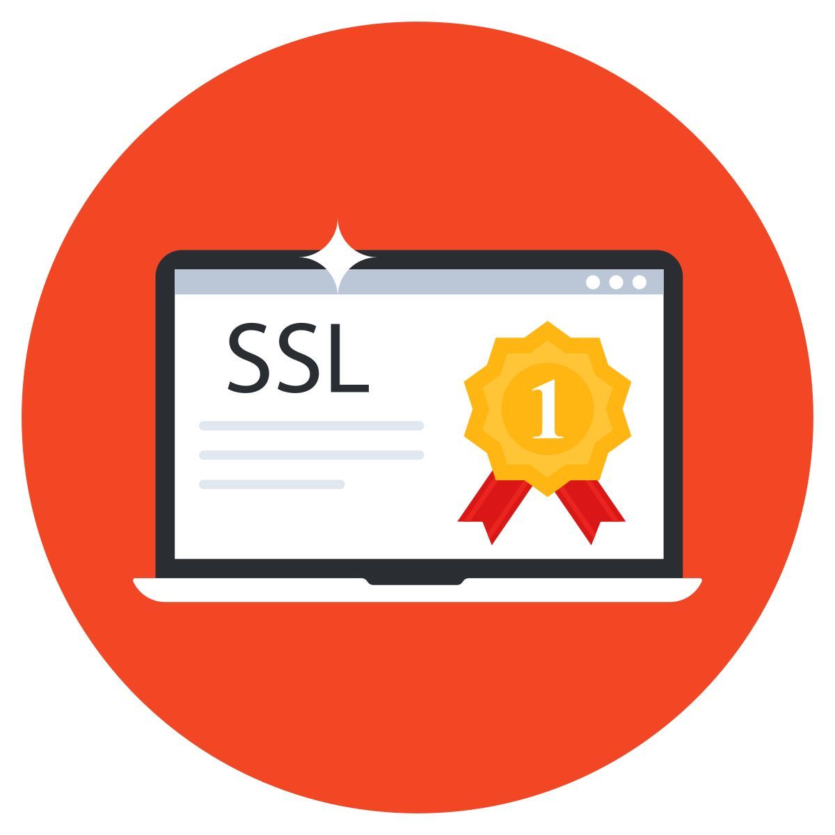 ssl certificate icon