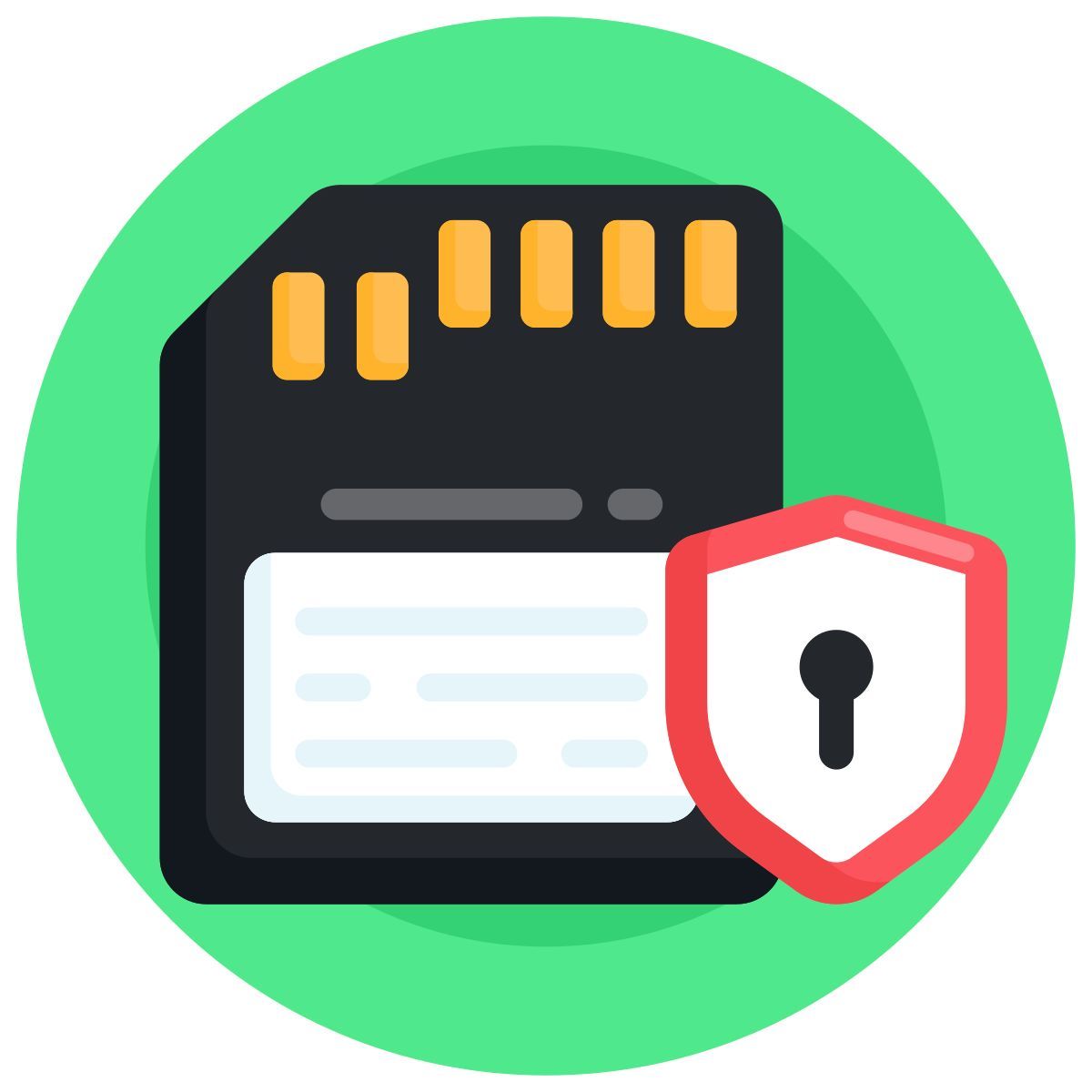 dati protetti icon