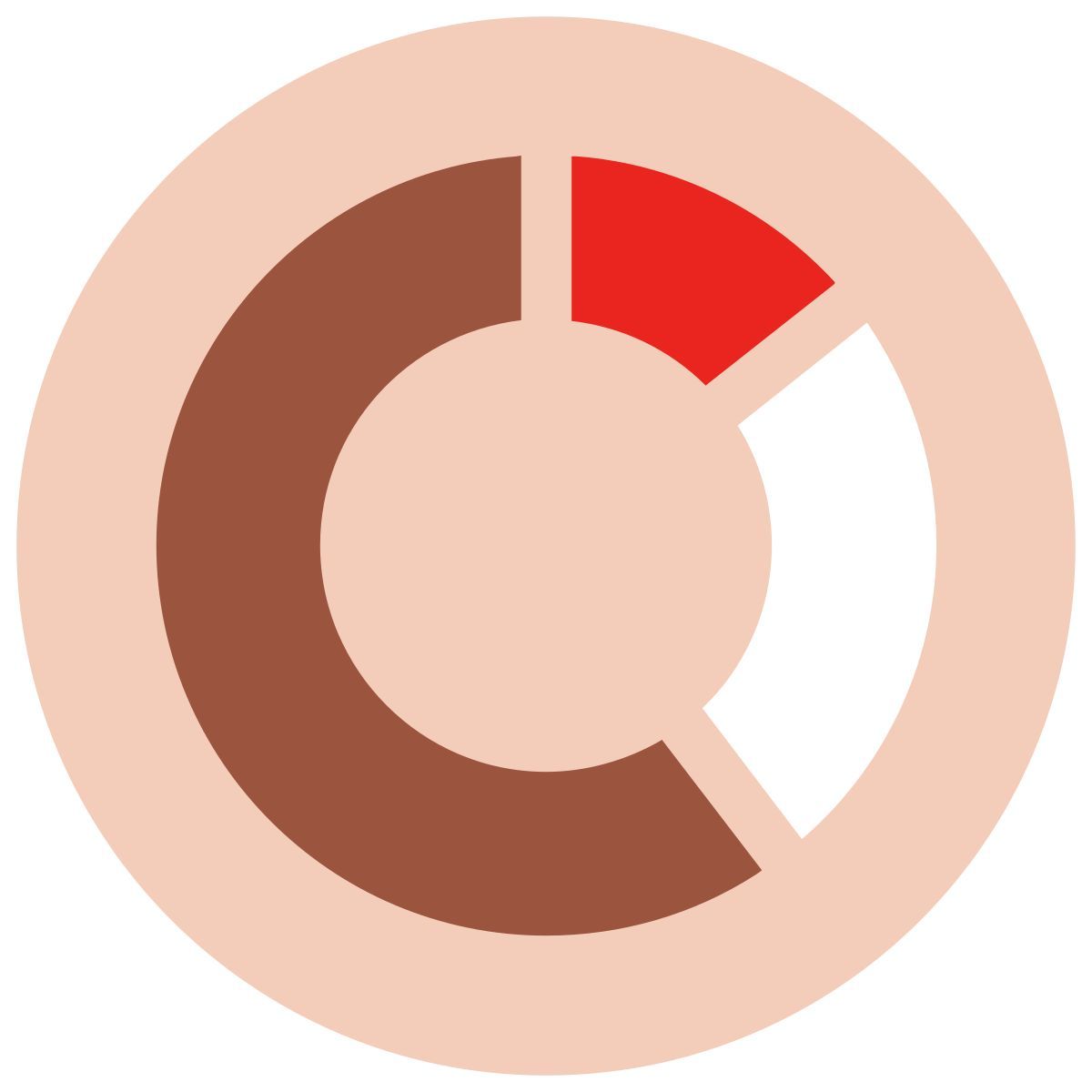 pie chart icon