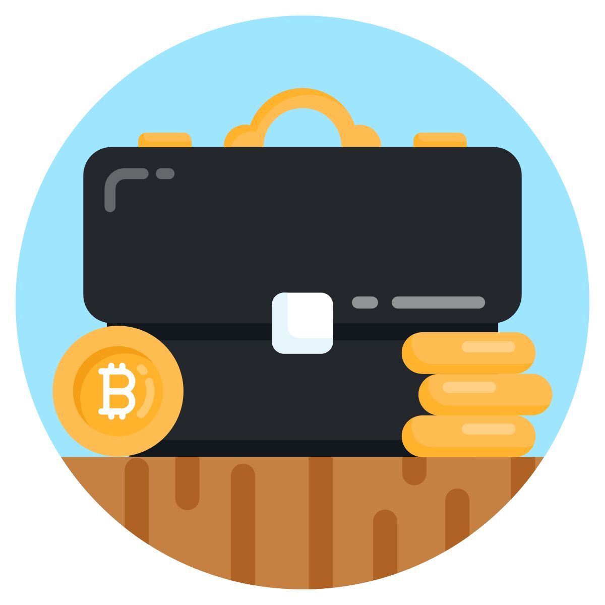 portfolio icon