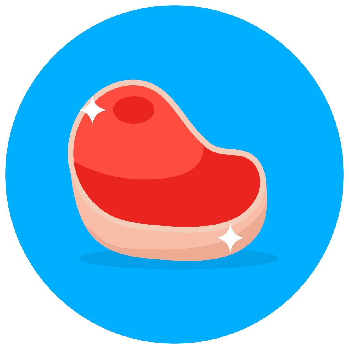 steak icon