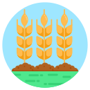 external barley-nature-and-ecology-smashingstocks-circular-smashing-stocks icon