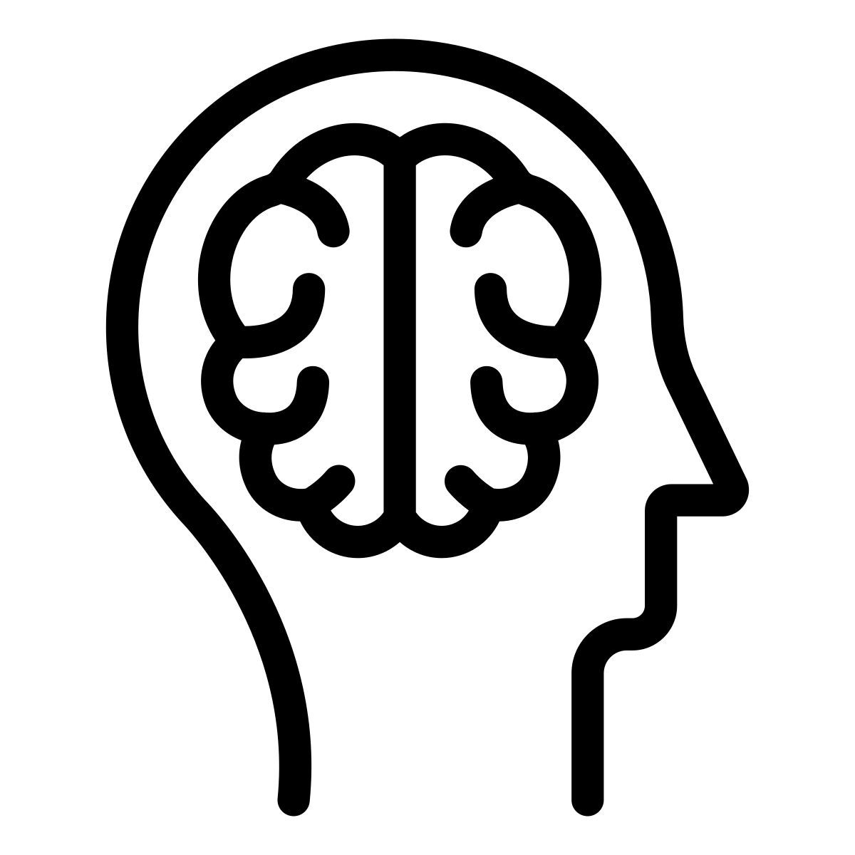 cerveau icon
