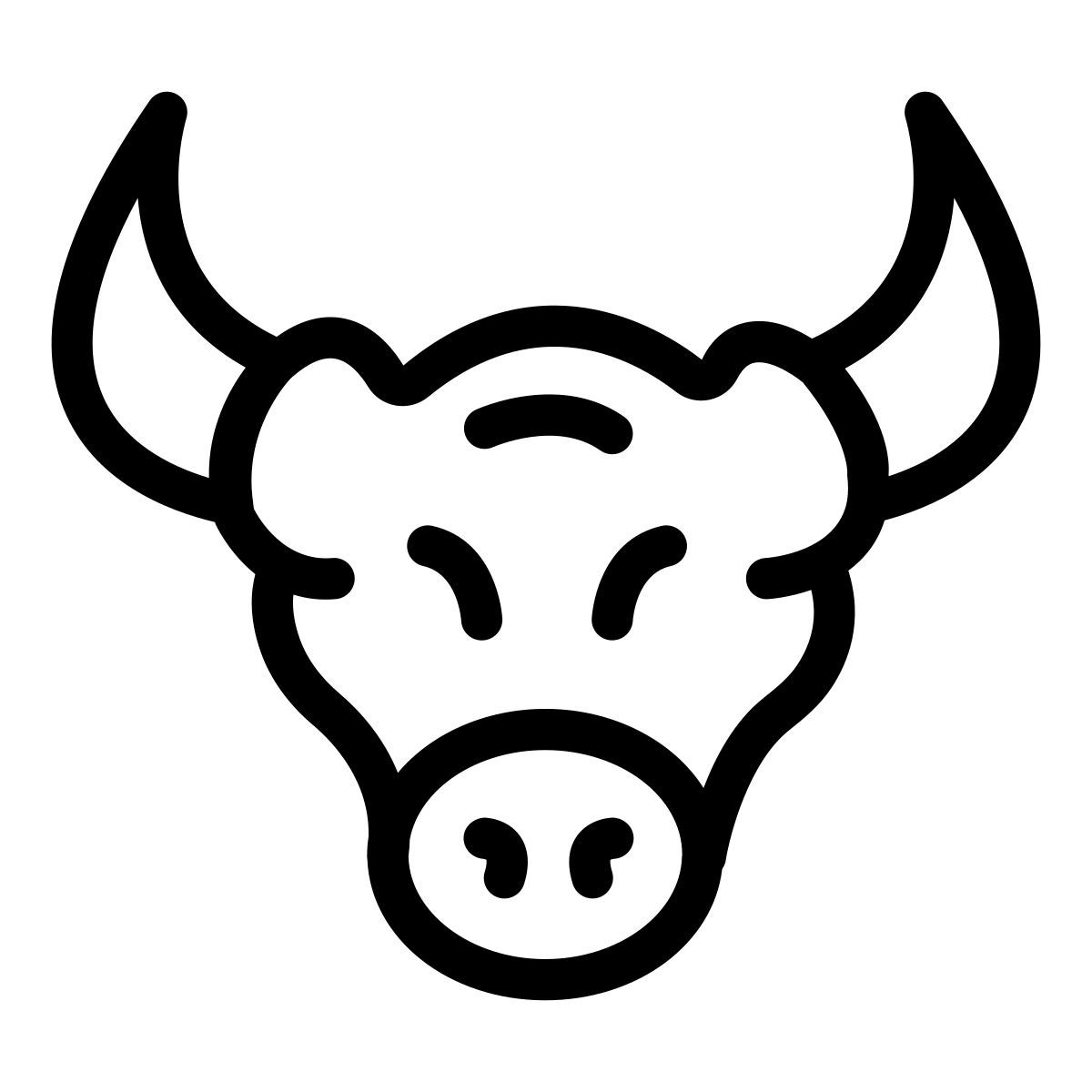 toro icon