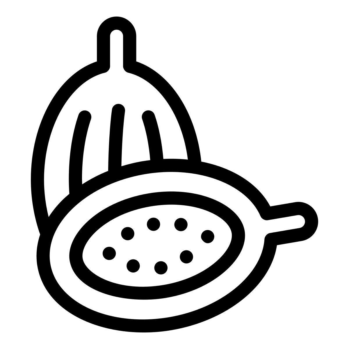 kardamom icon