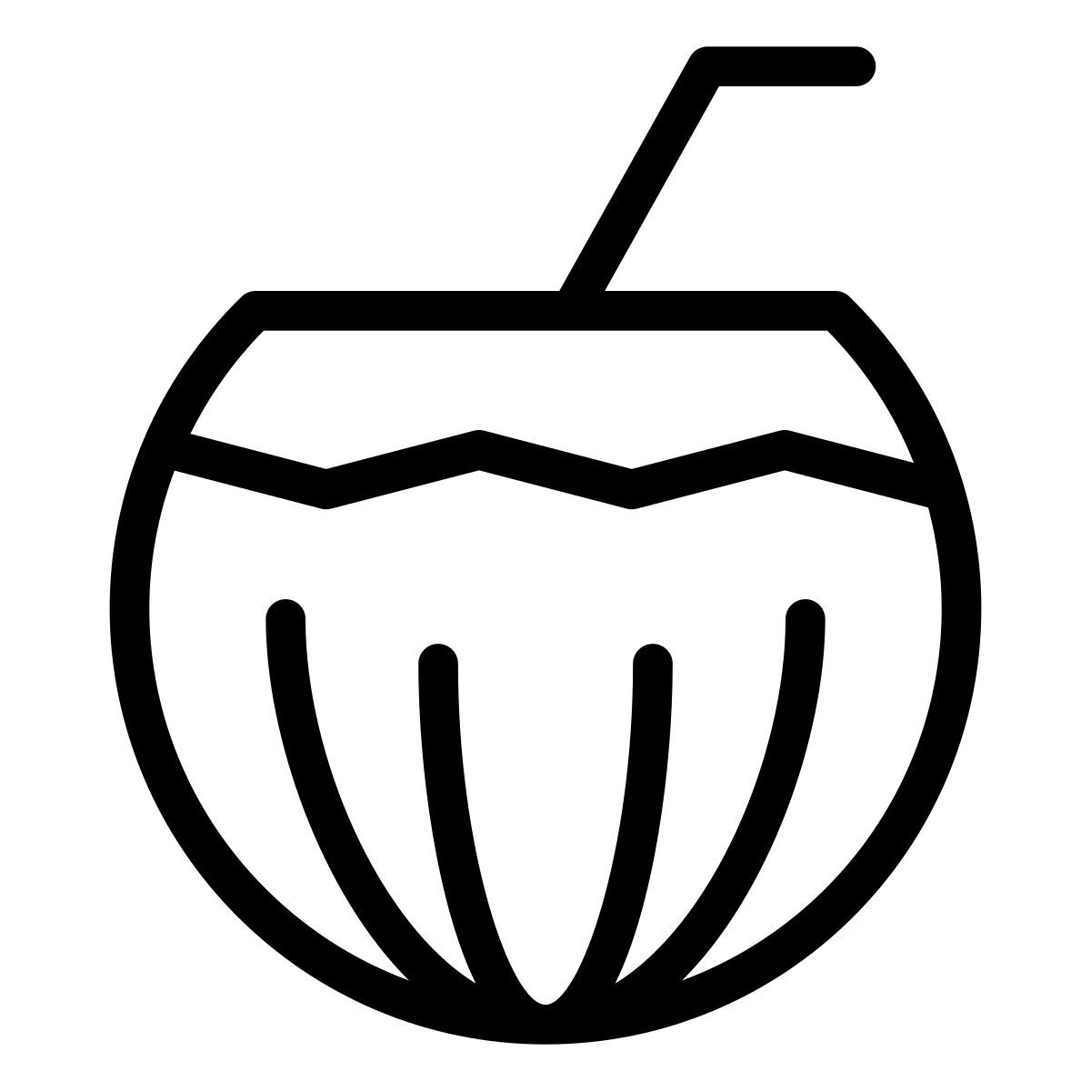 coco icon