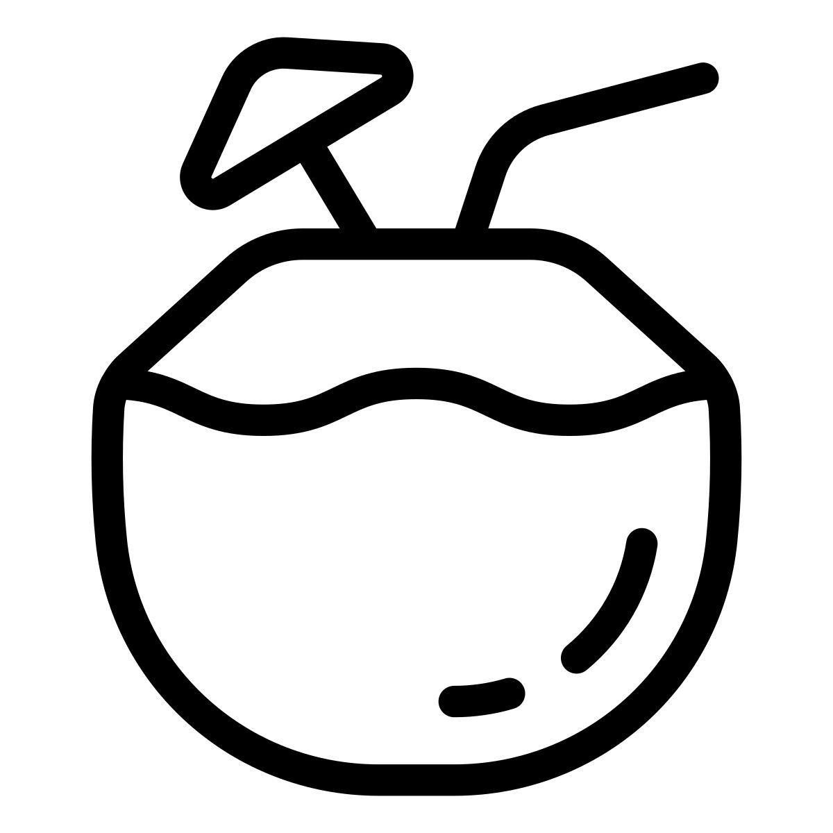 noce di cocco icon
