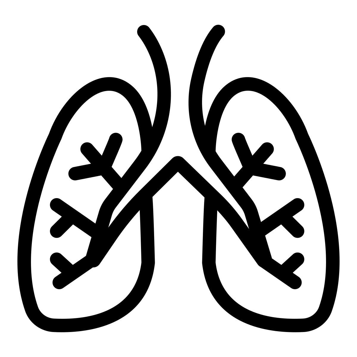 lungs icon