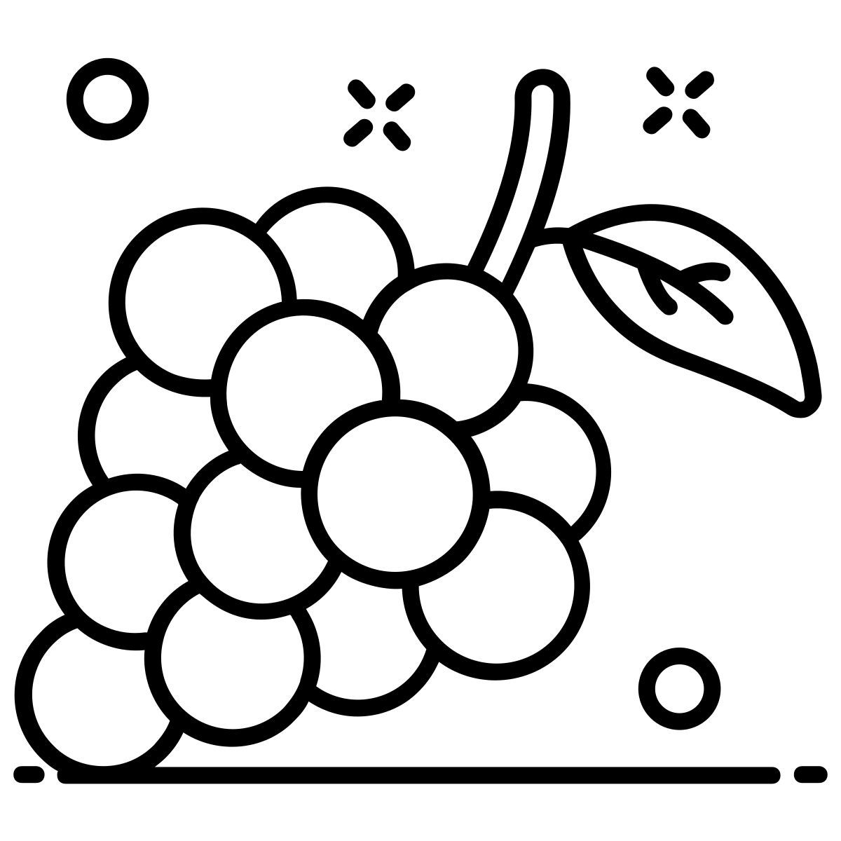 grapes icon