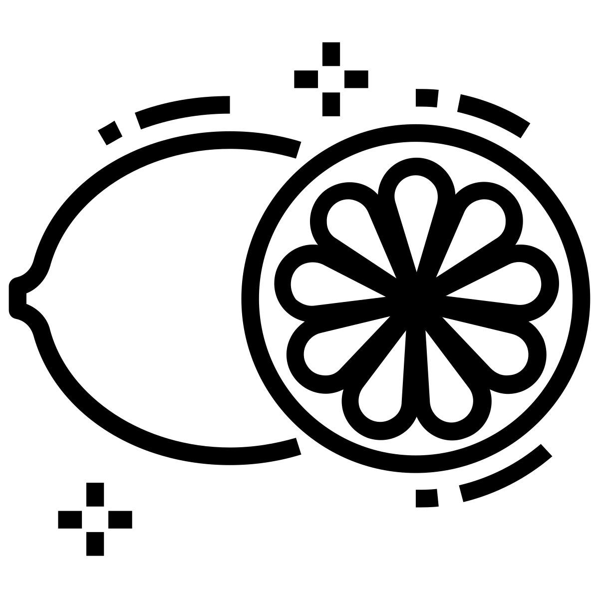 zitronenscheibe icon