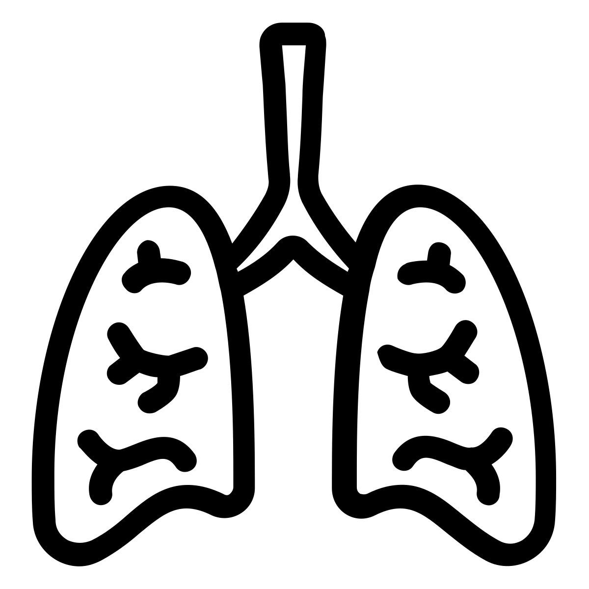 lungs icon
