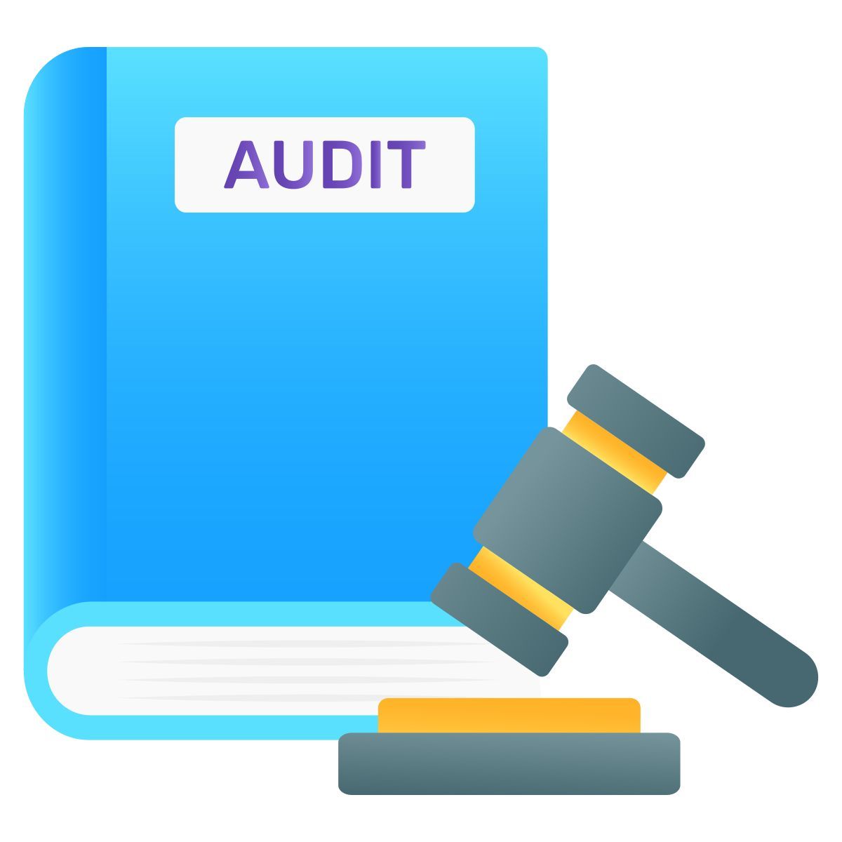 audit icon