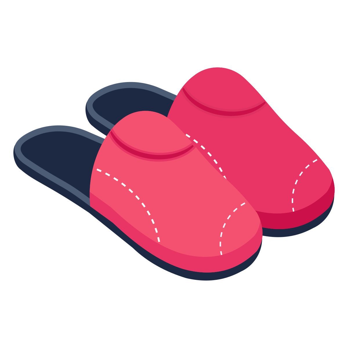 zuecos icon