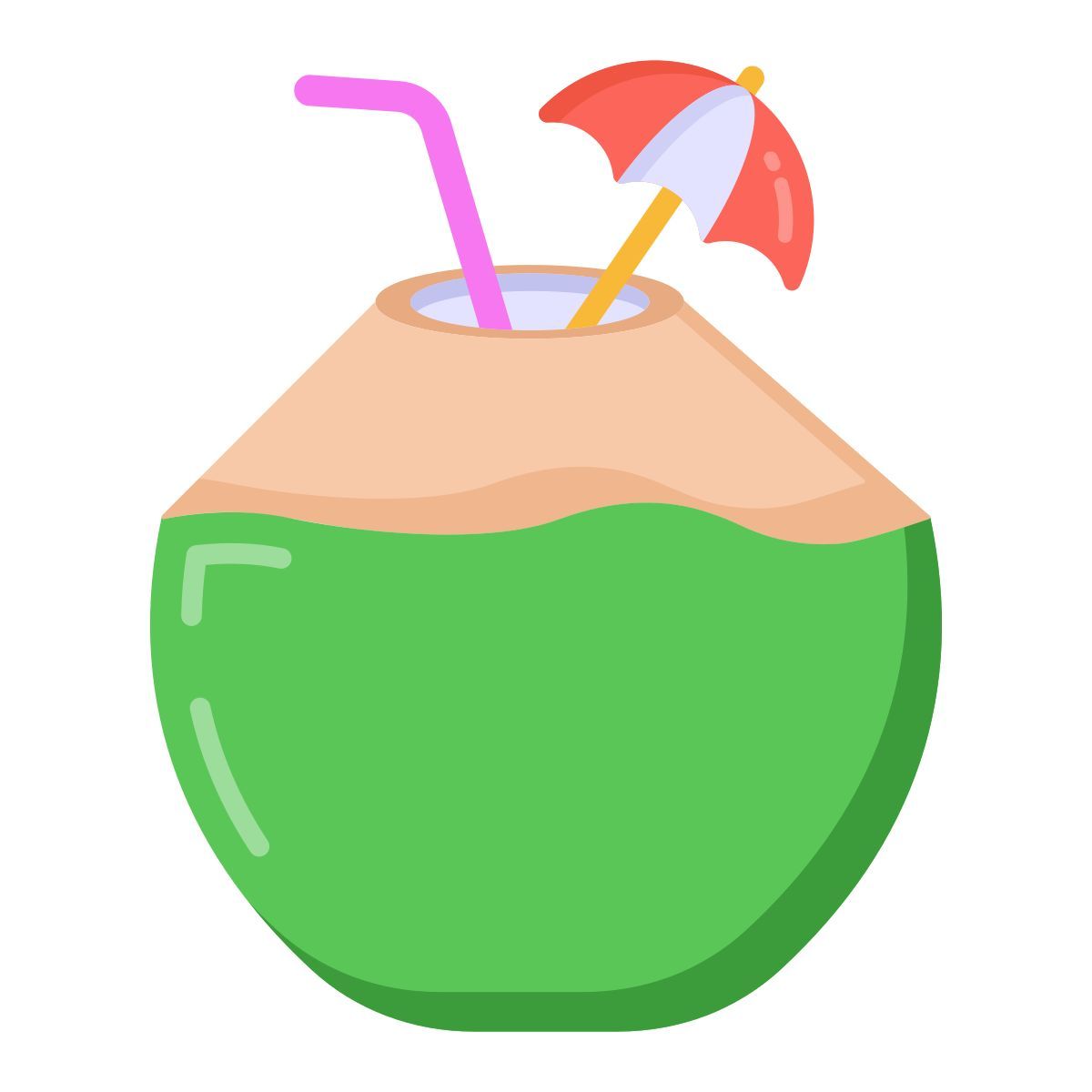 coconut icon