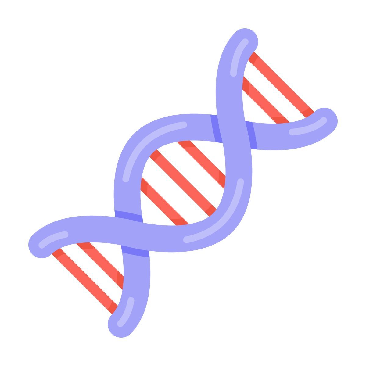 adn icon