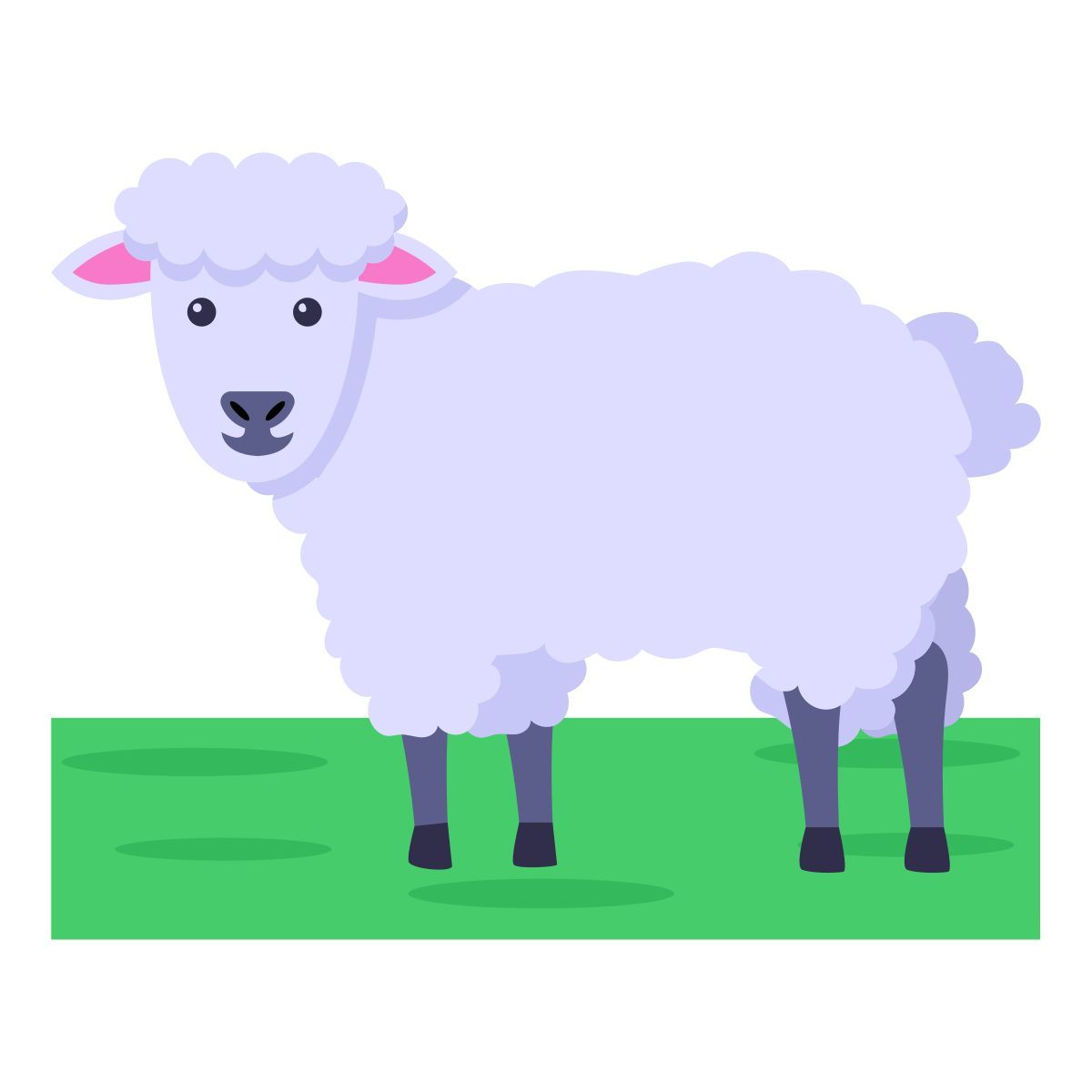 sheep icon