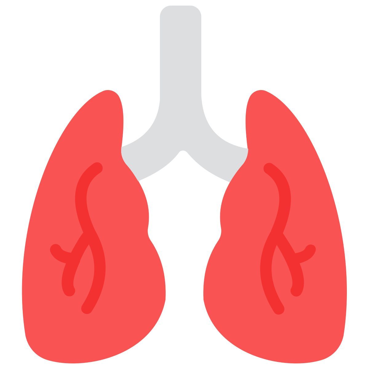lungs icon