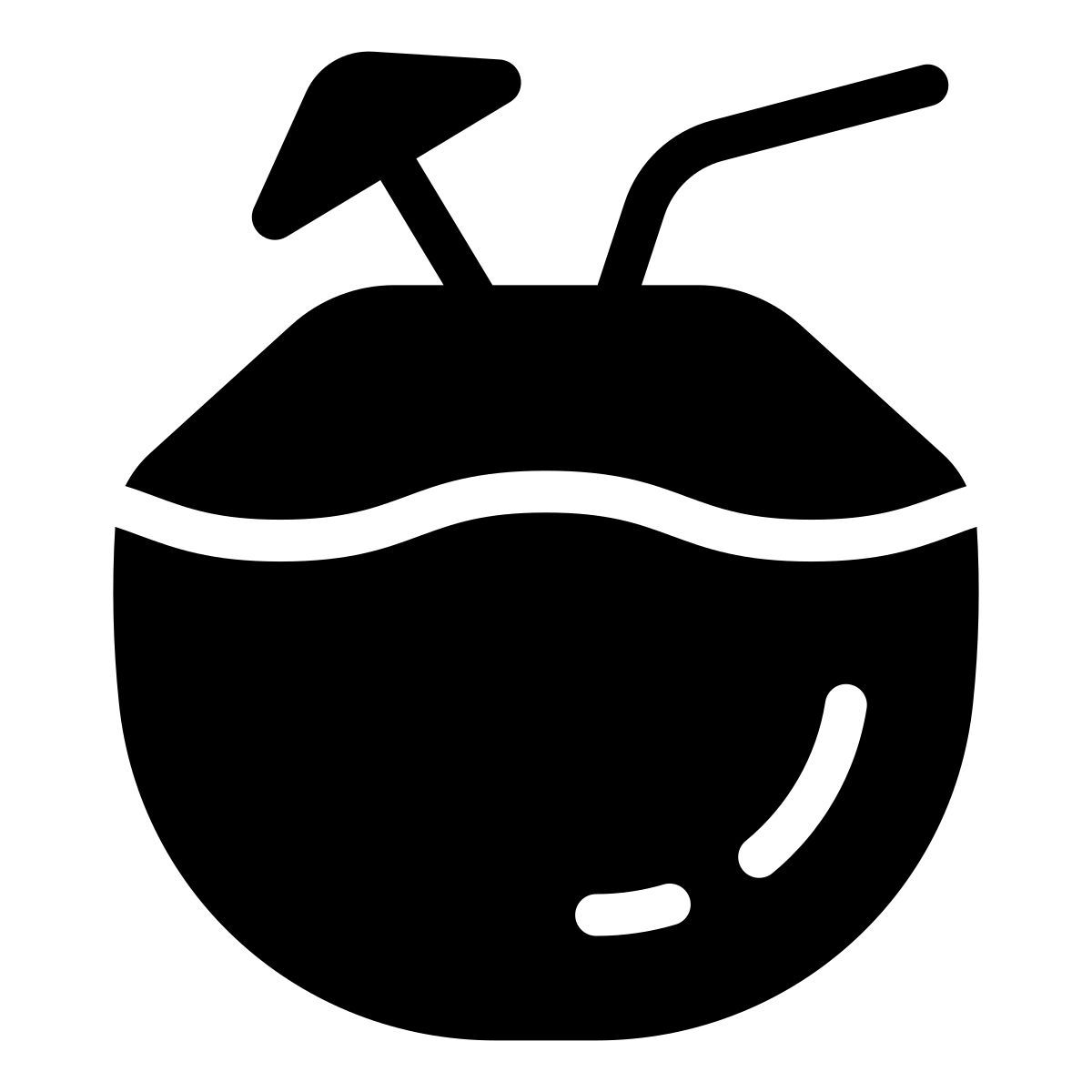 noce di cocco icon