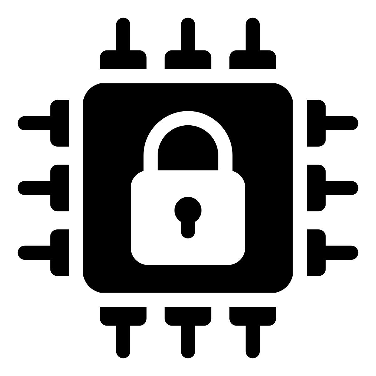 data security icon