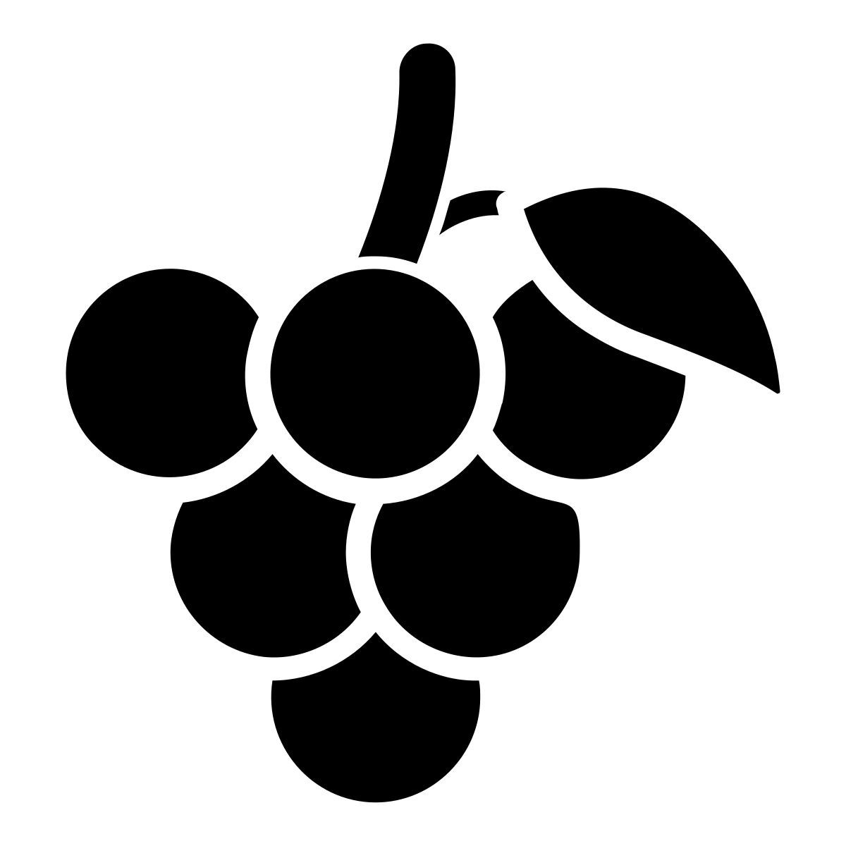grape icon