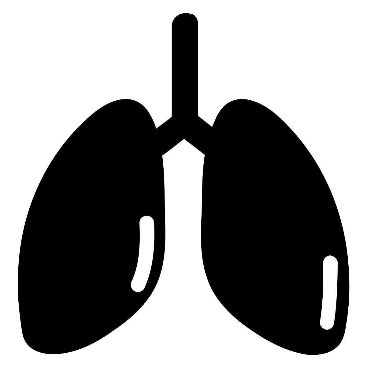lungs icon