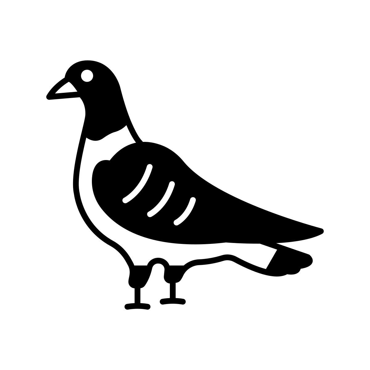 piccione icon