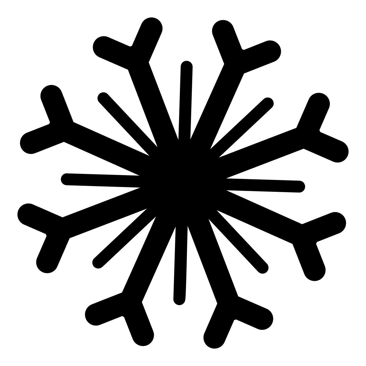 snowflake icon