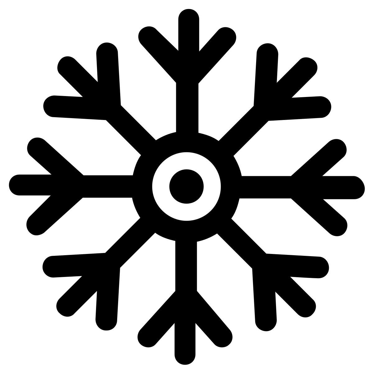 snowflake icon