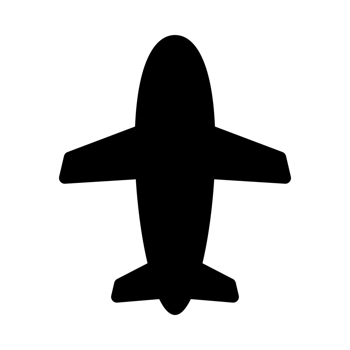 aeroplane icon