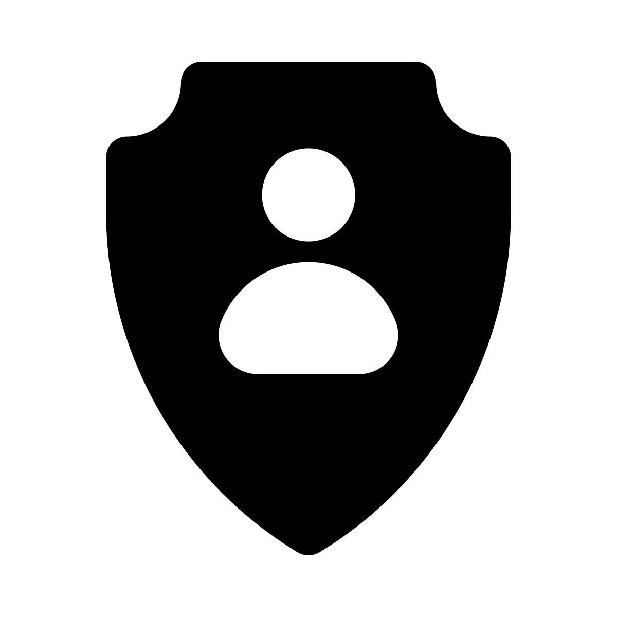 assicurazione icon
