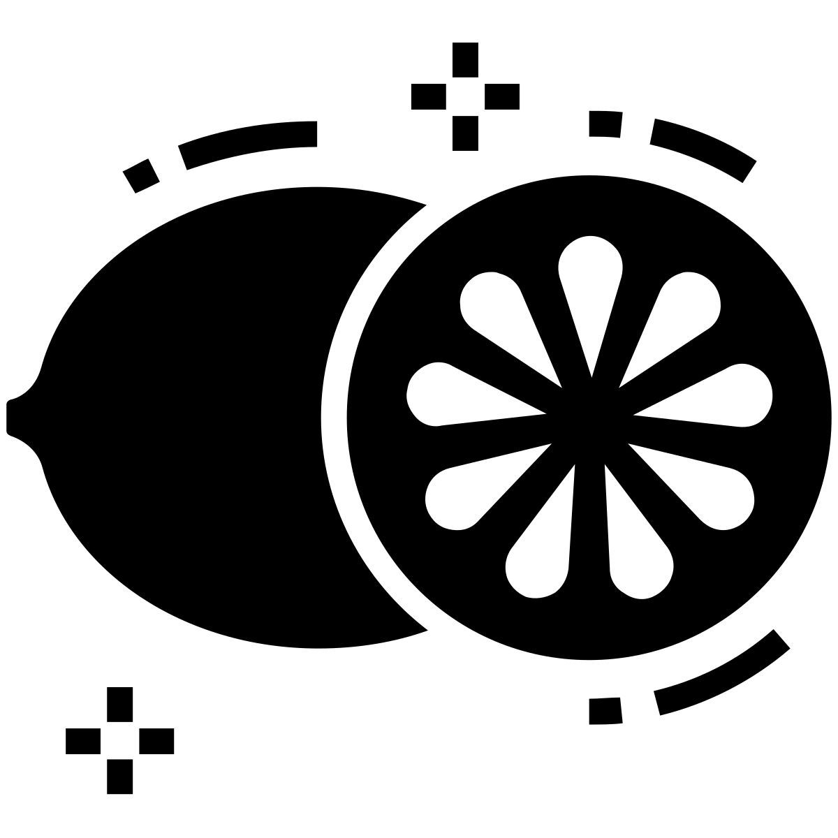 zitronenscheibe icon