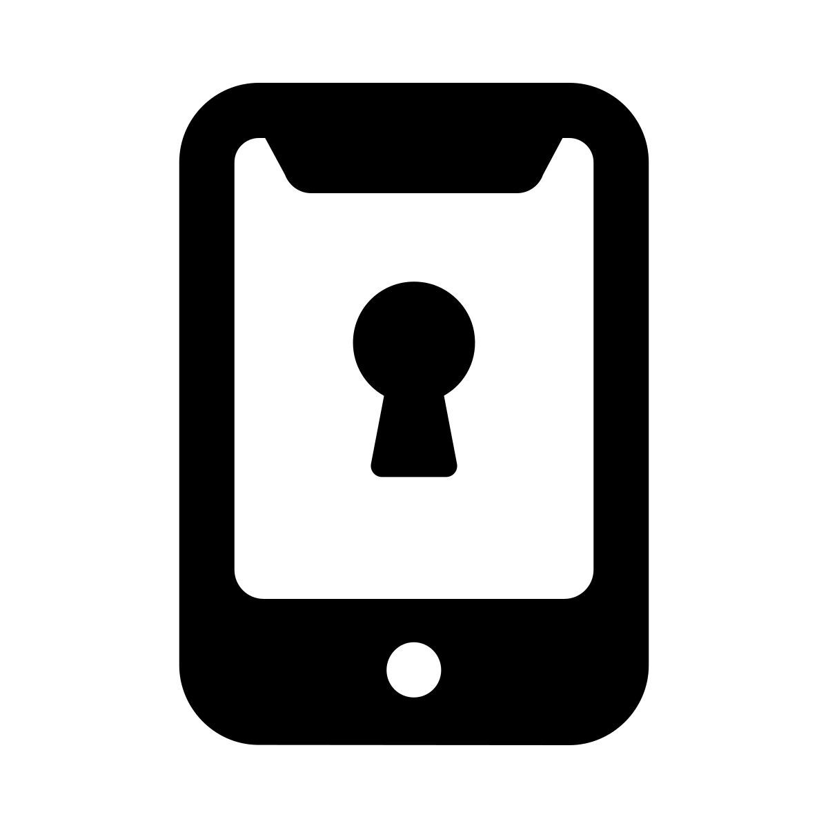 codice di accesso icon