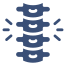 external-spine-body-anatomy-smashingstocks-glyph-smashing-stocks