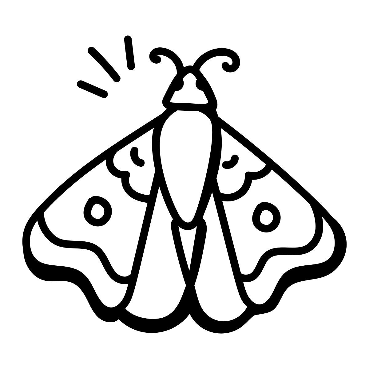 butterfly icon
