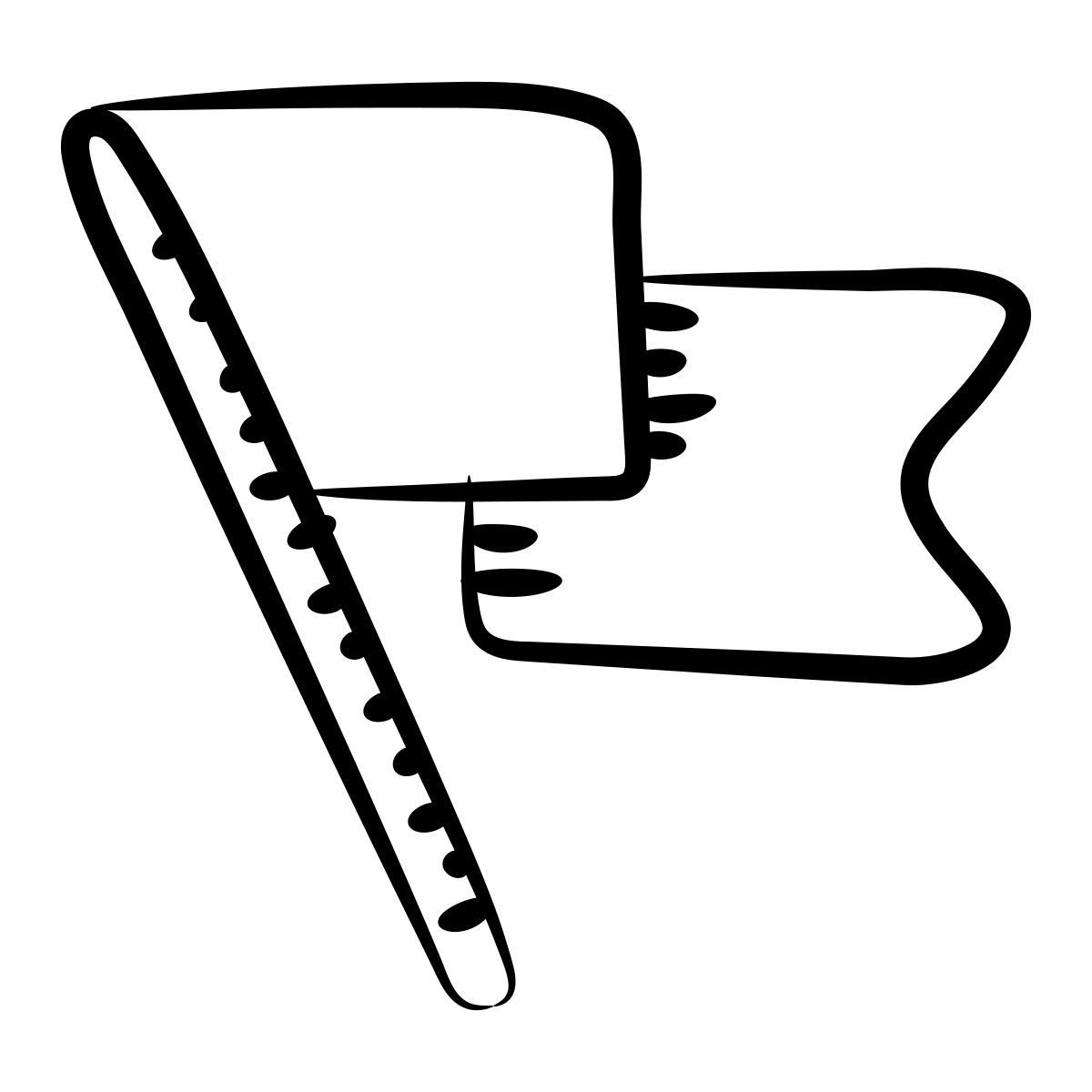 drapeau 2 icon
