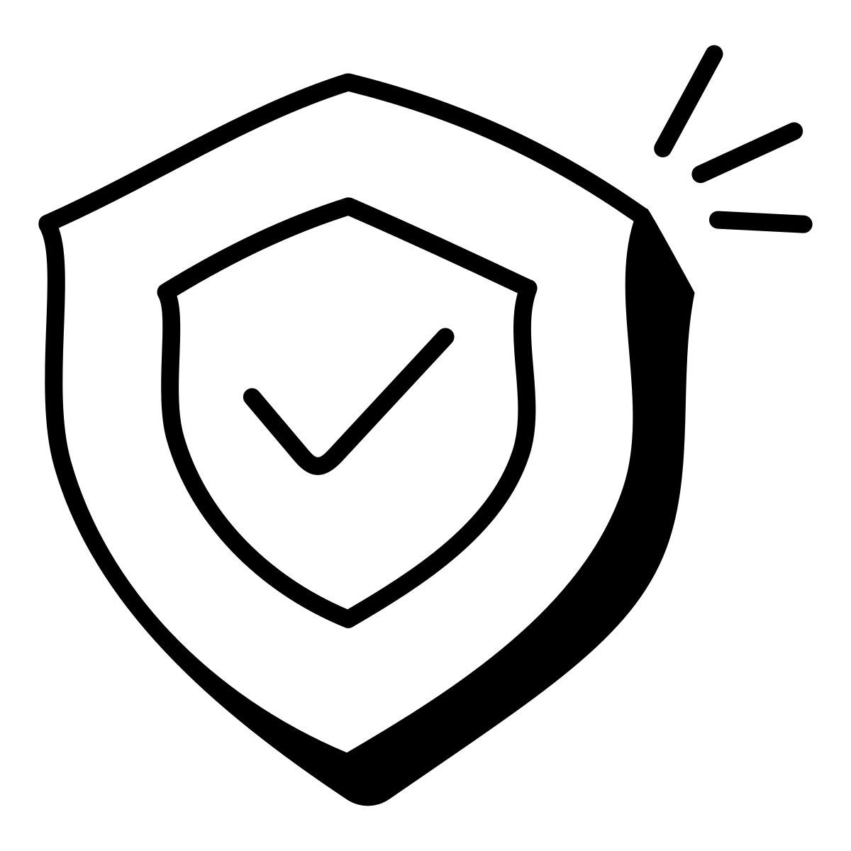 protection icon