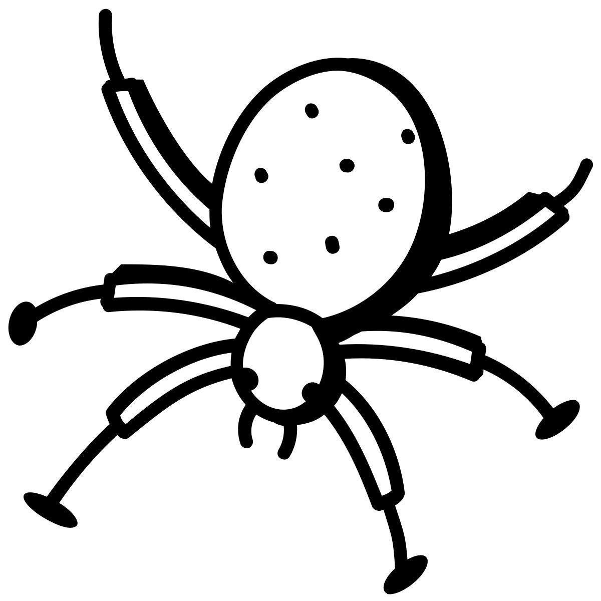 spinne icon