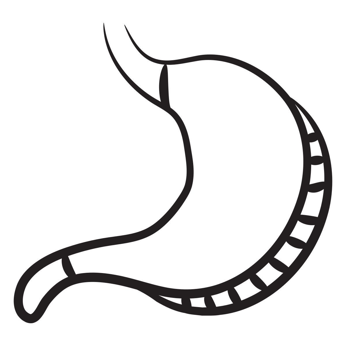 желудок icon