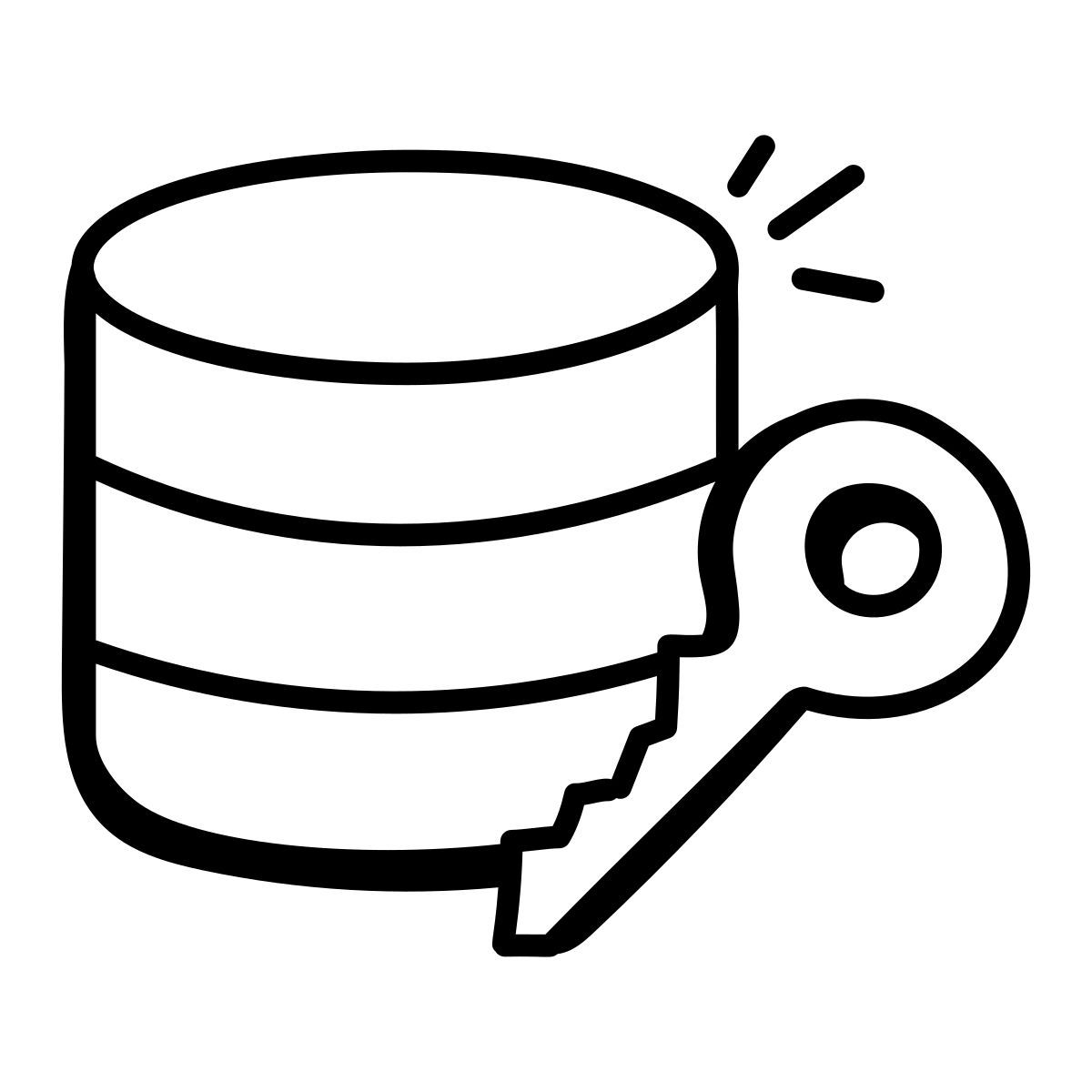 database icon
