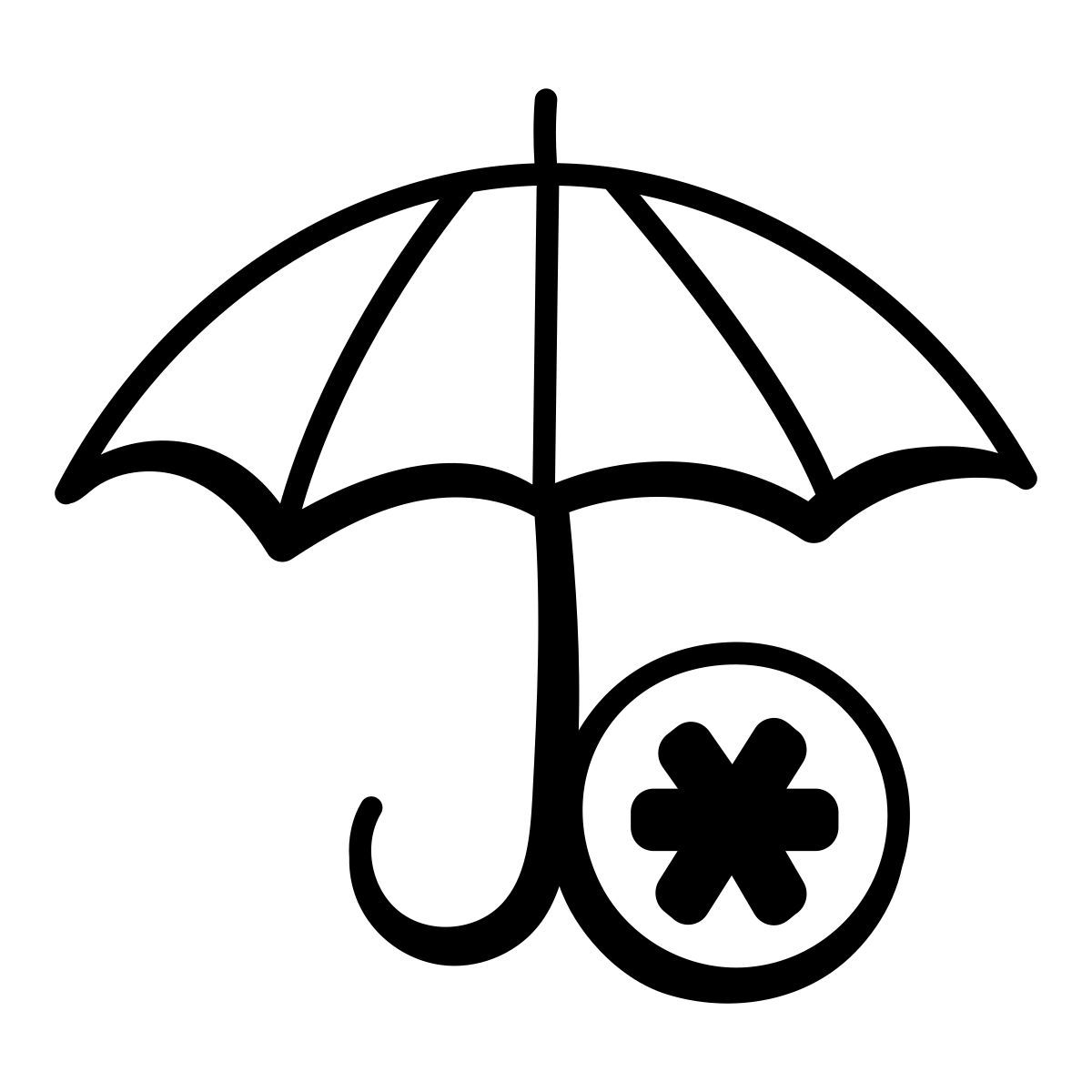 seguro icon