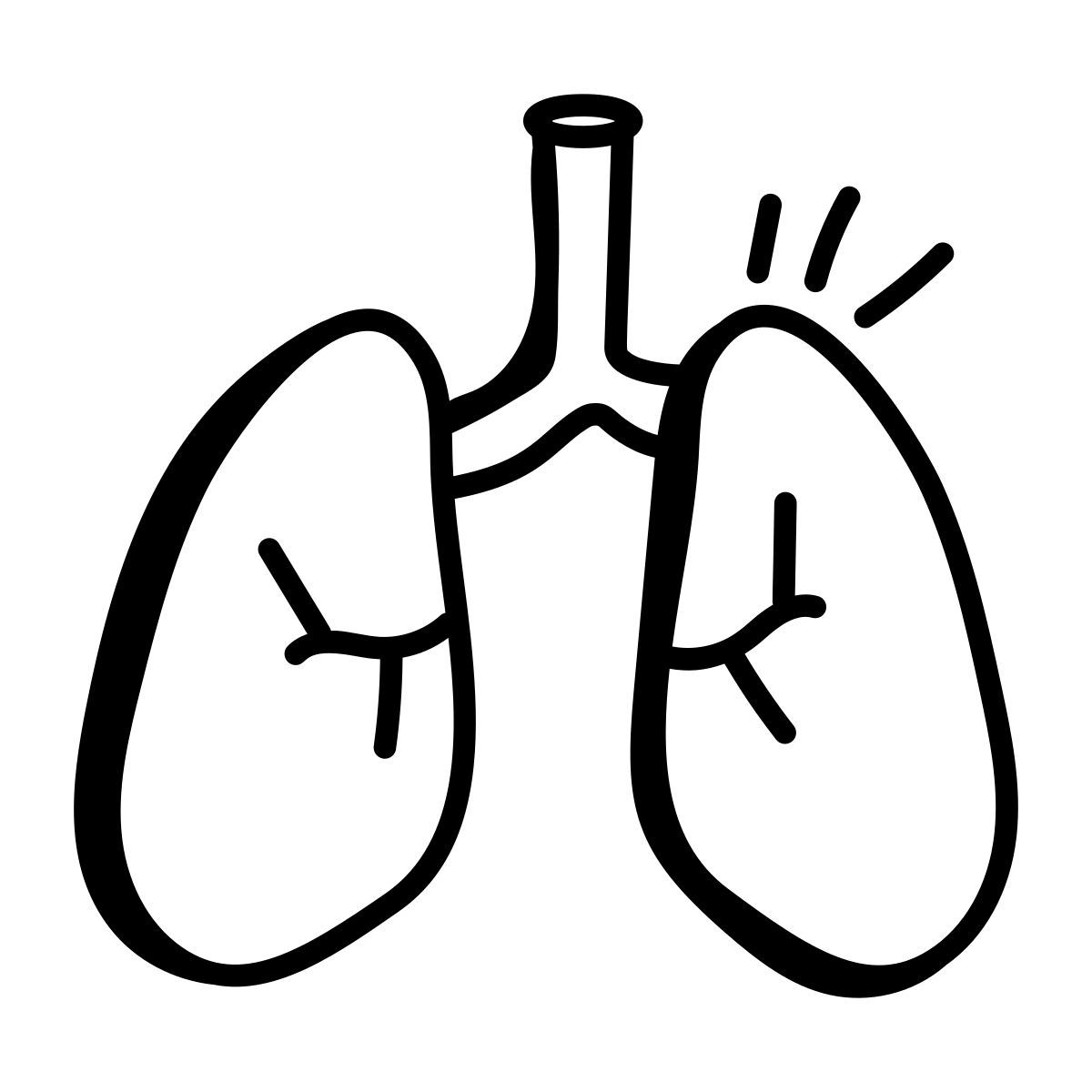 lungs icon