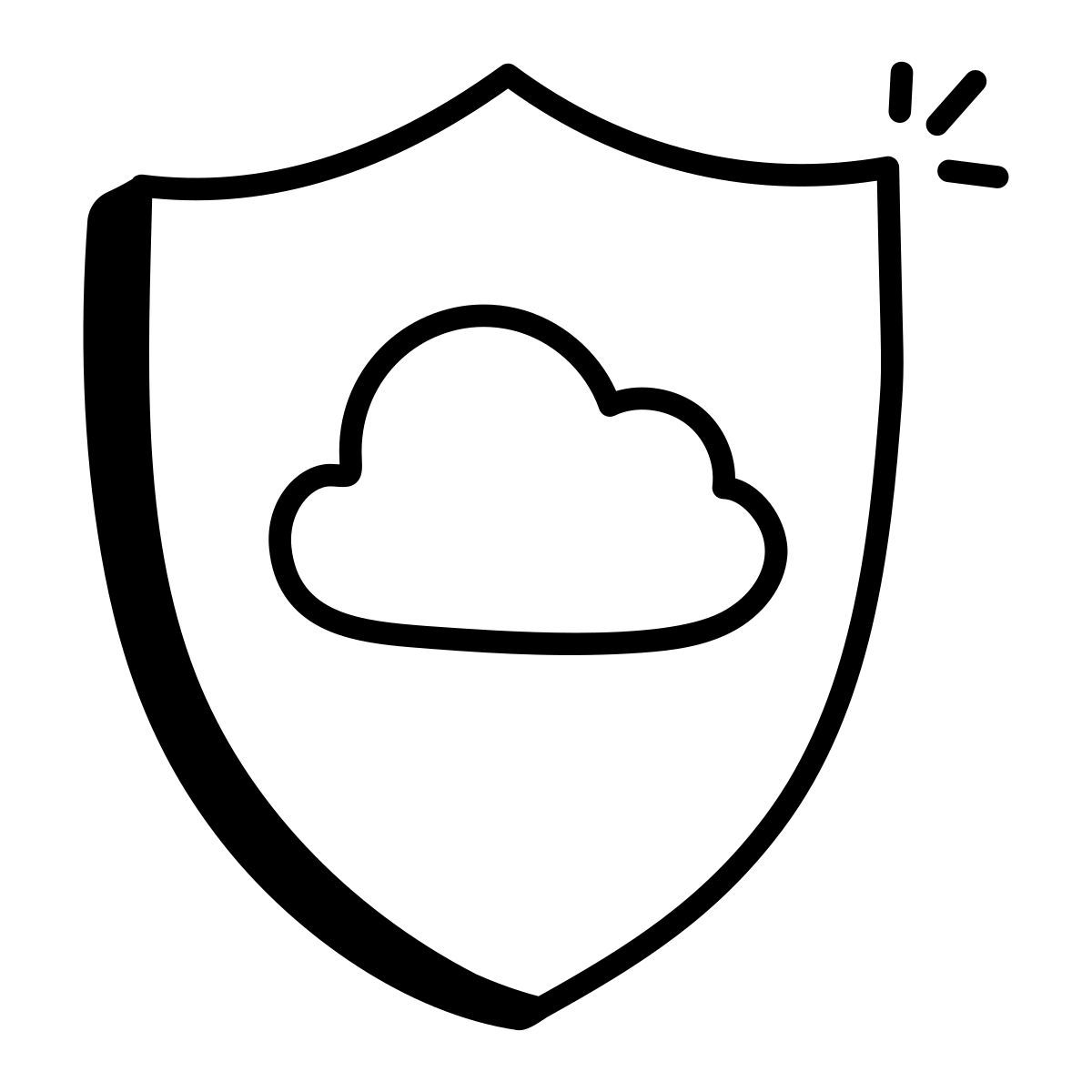 protection icon