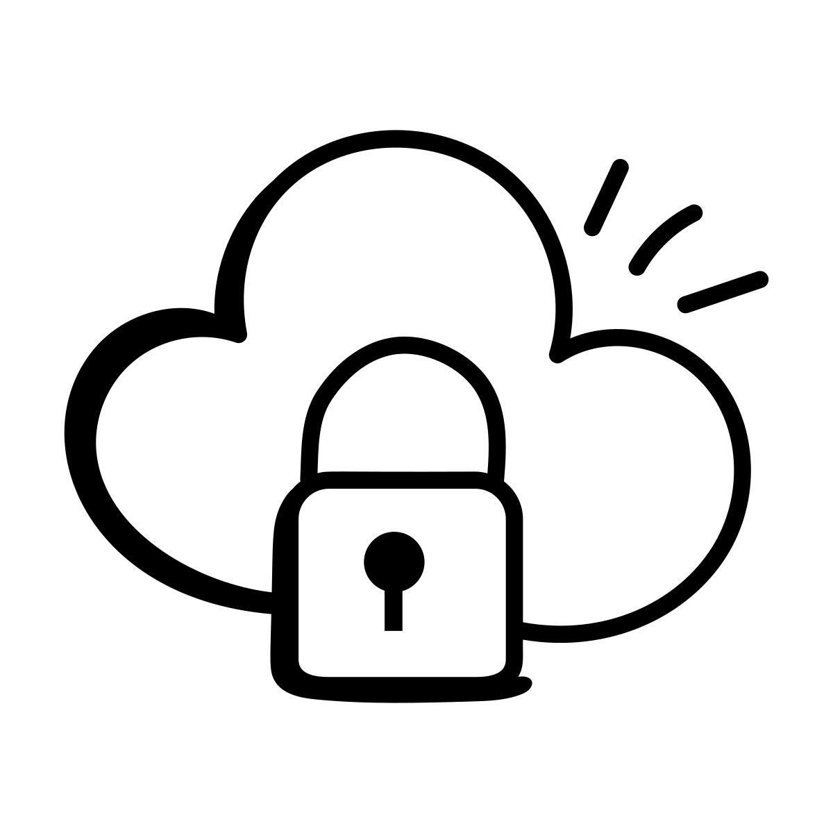 secured data icon