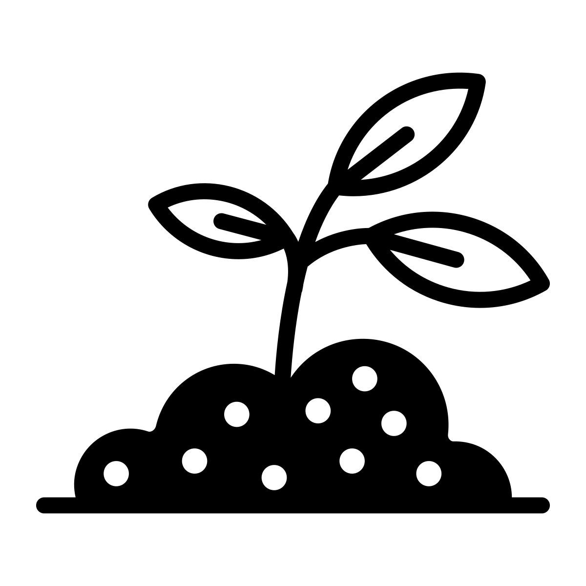 sprout icon