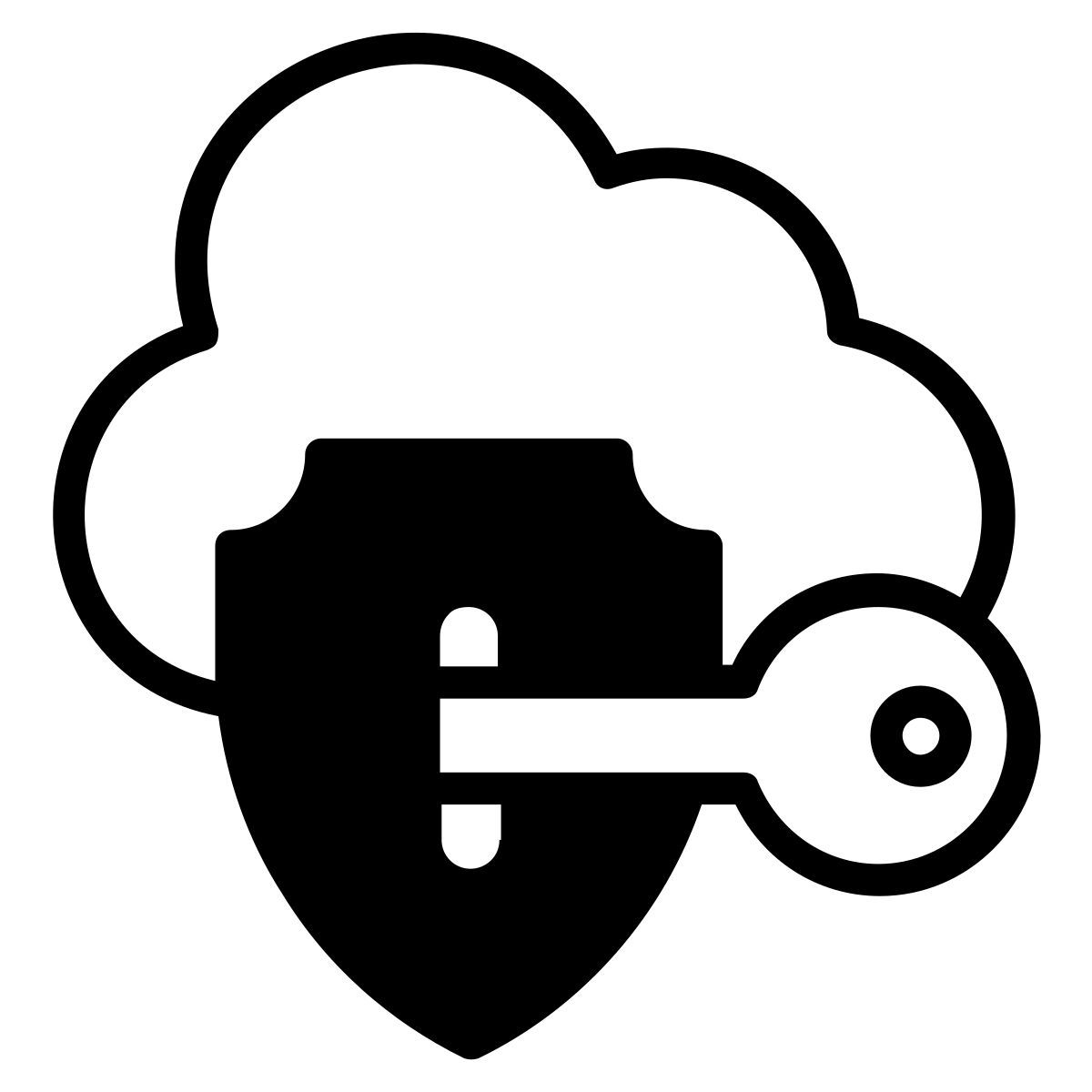 data security icon