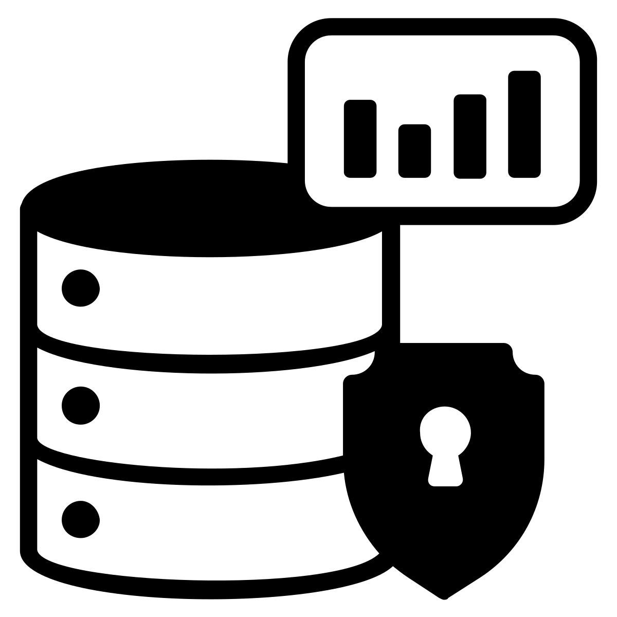 data security icon