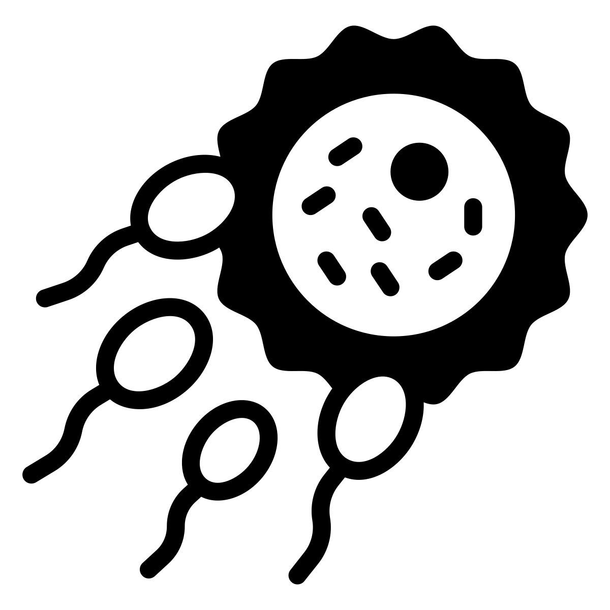 système reproducteur icon