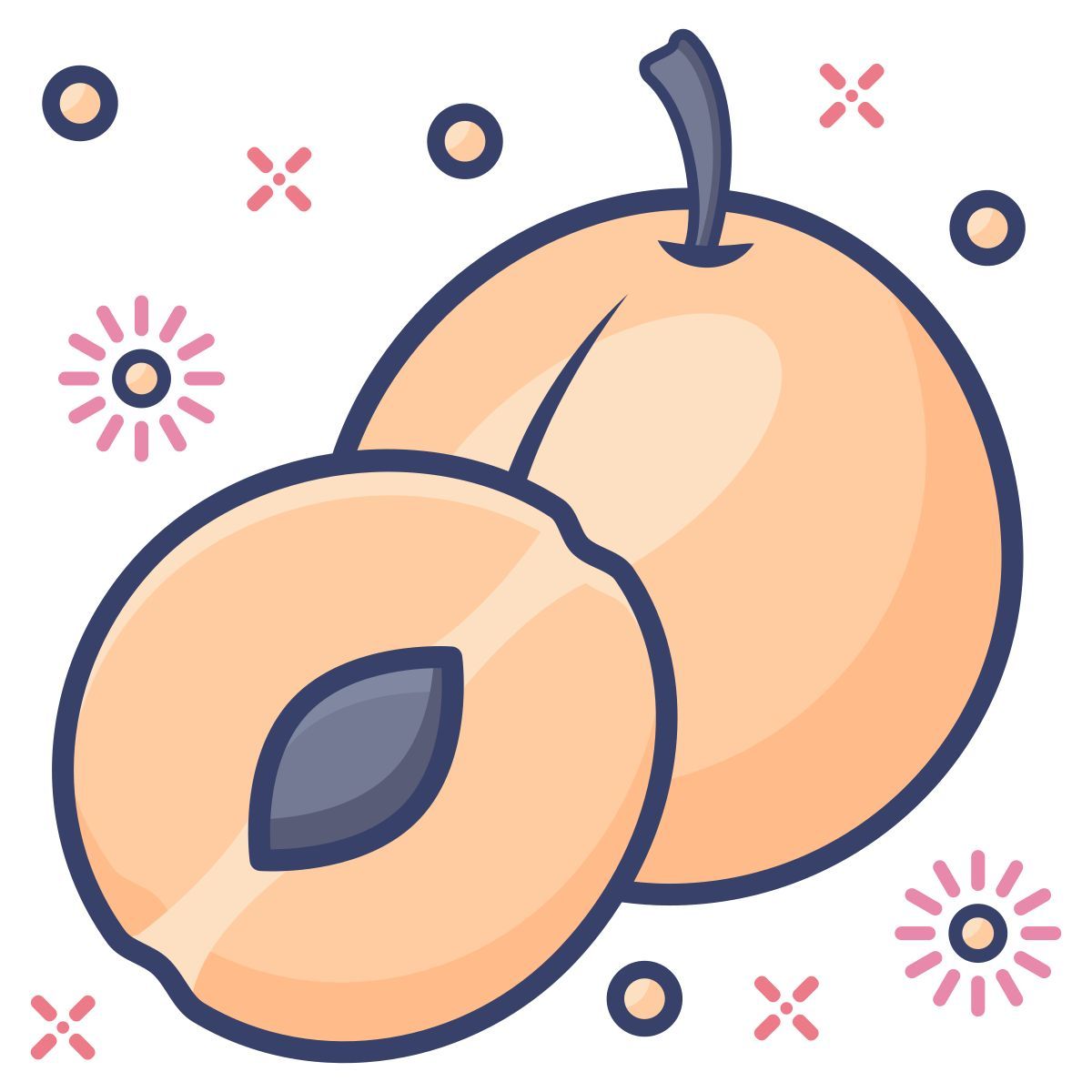 apricots icon