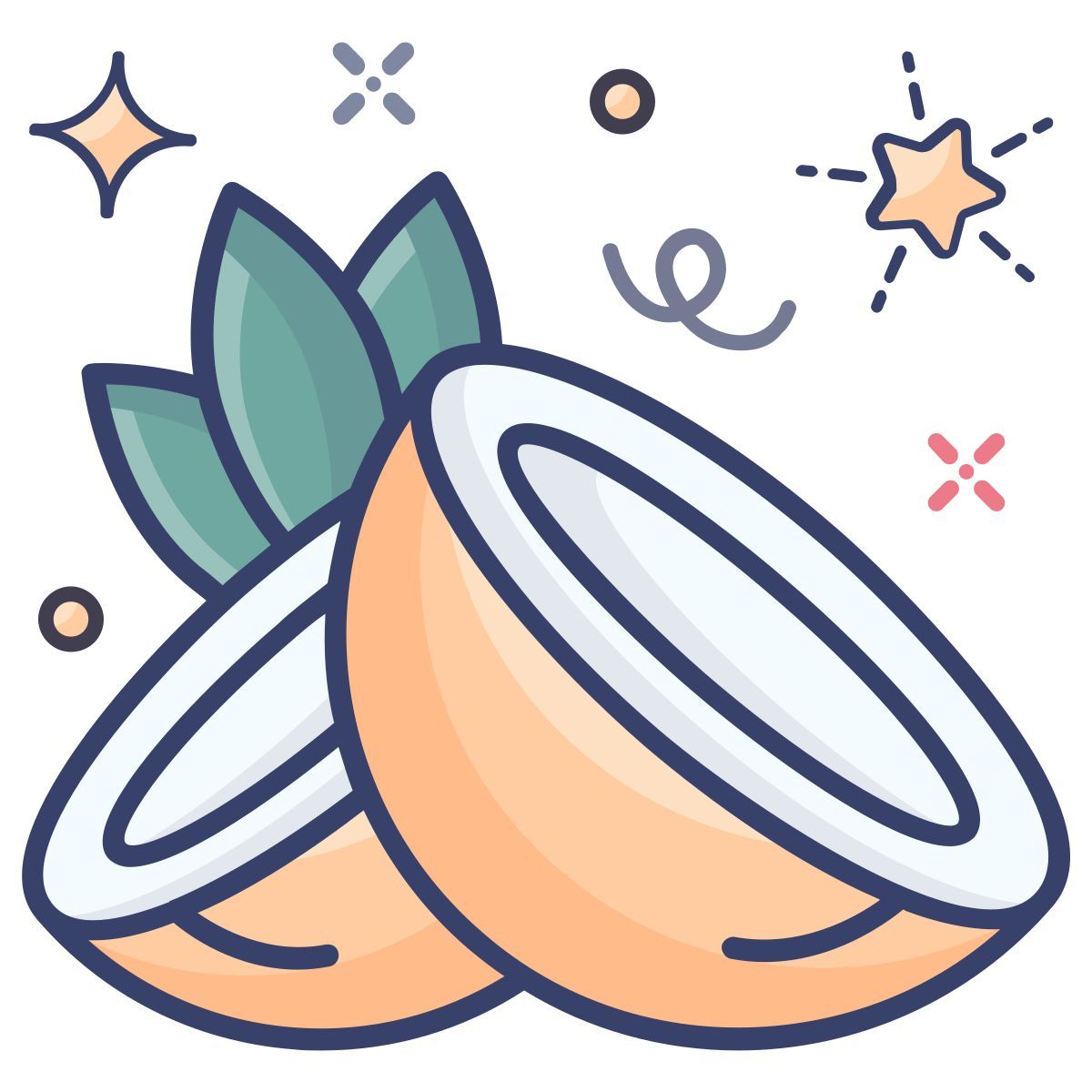 coconut icon